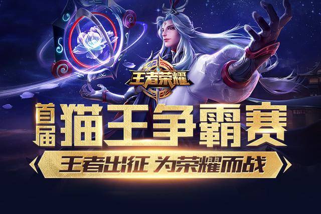 成议会表决